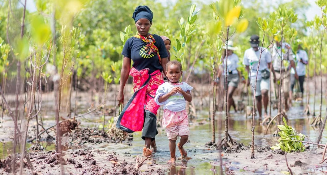 "PISSCA-Harnessing Community Power to Combat Climate Change"