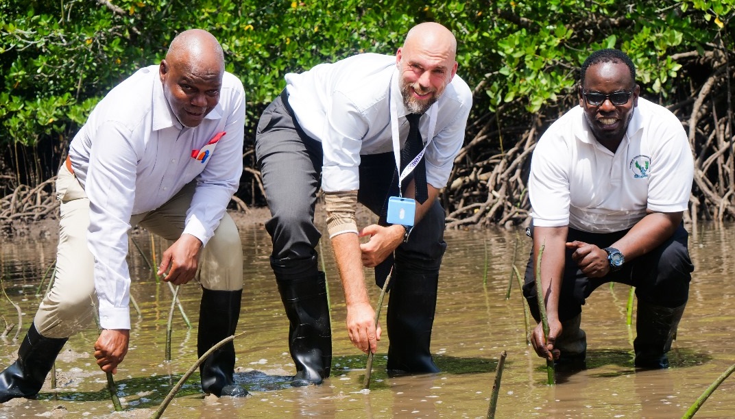 "Collectives Efforts towards climate resilient."