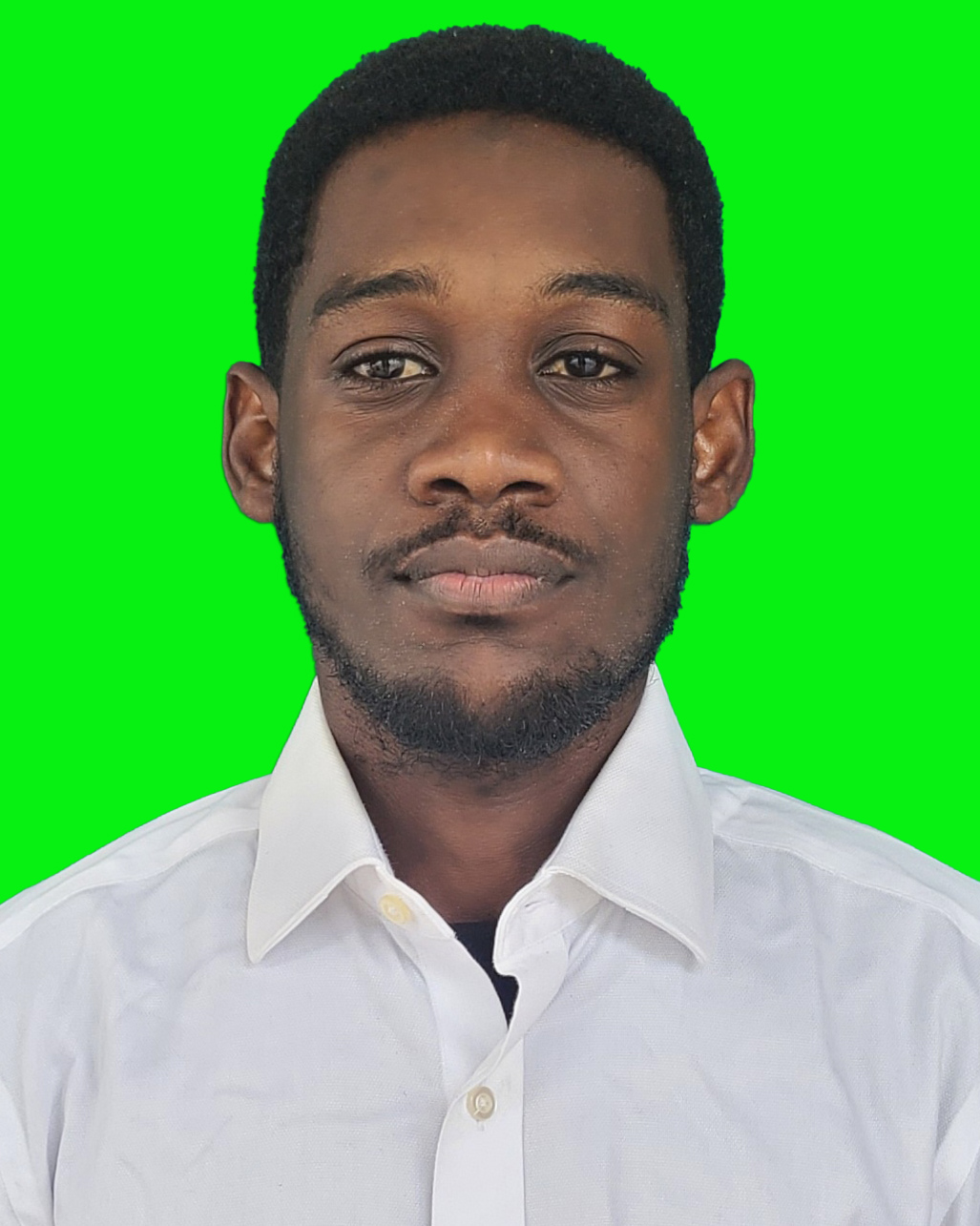 Mohamed T. Houshil