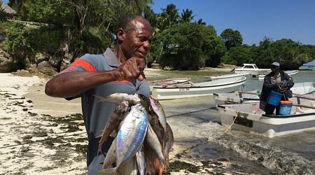 Agriculture and Fisheries